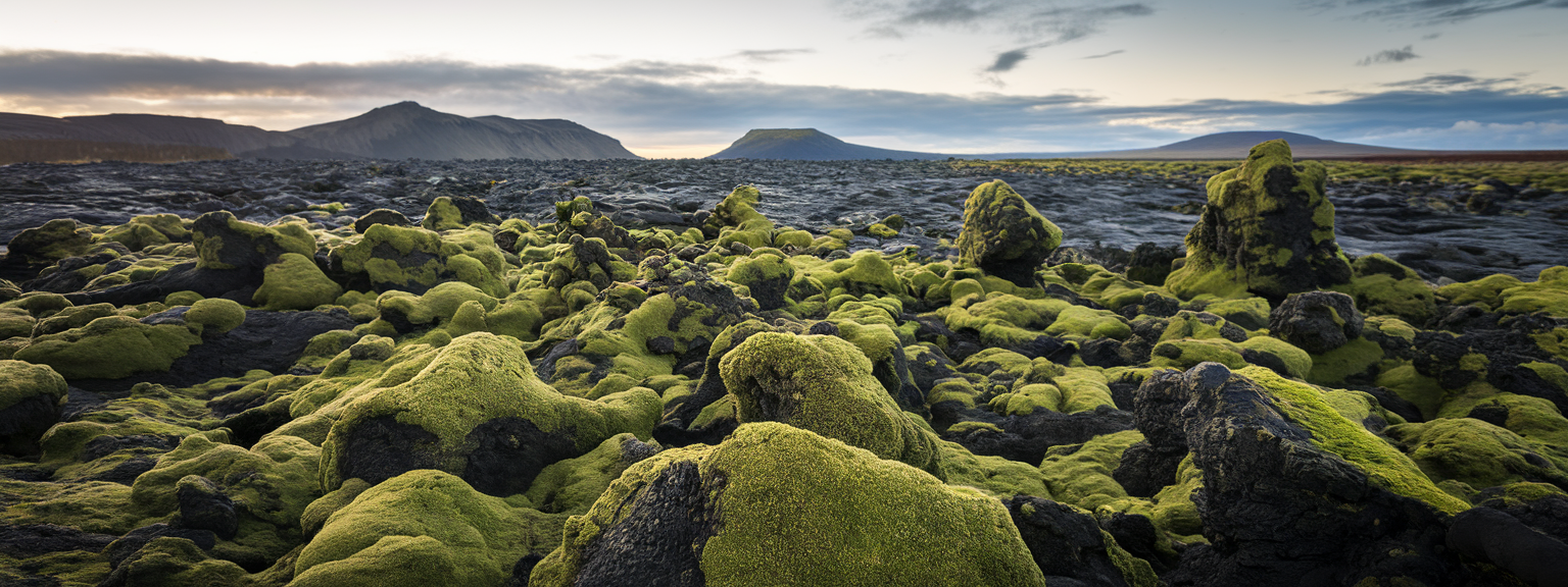 Mastering Visual Rhythm: Tips to Uncover Patterns, Flow, and Beauty in ...